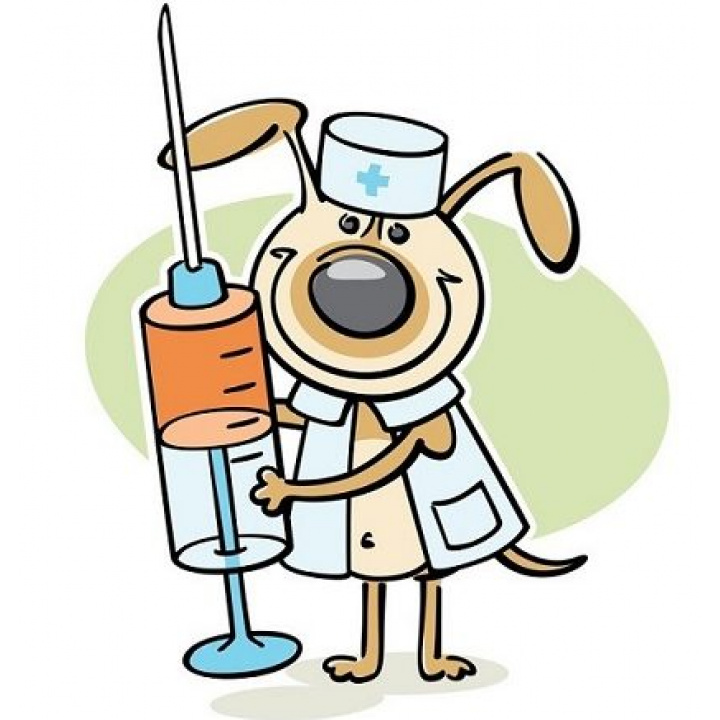 Očkovanie psov proti besnote 